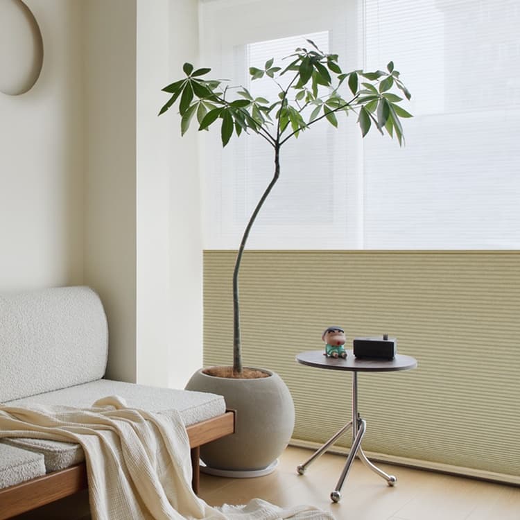 DN-345 Day and Night Honeycomb Cellular Shades 38mm with Cassette