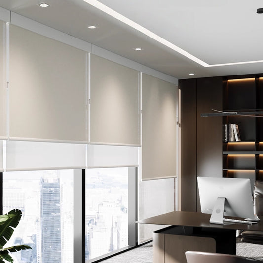 DN-120 Double Roller Blinds Day and Night Shades with Cassette