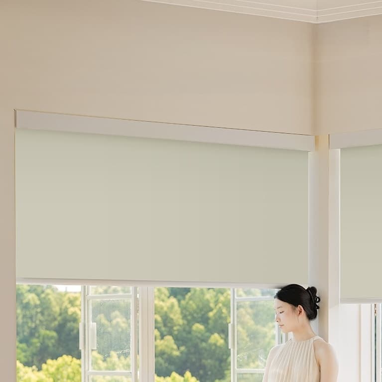 ZC-98 Blackout Insulated Roller Shades with Cassette