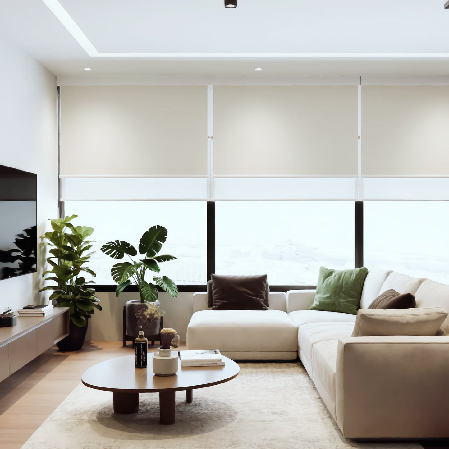 DN-120 Double Roller Blinds Day and Night Shades with Cassette
