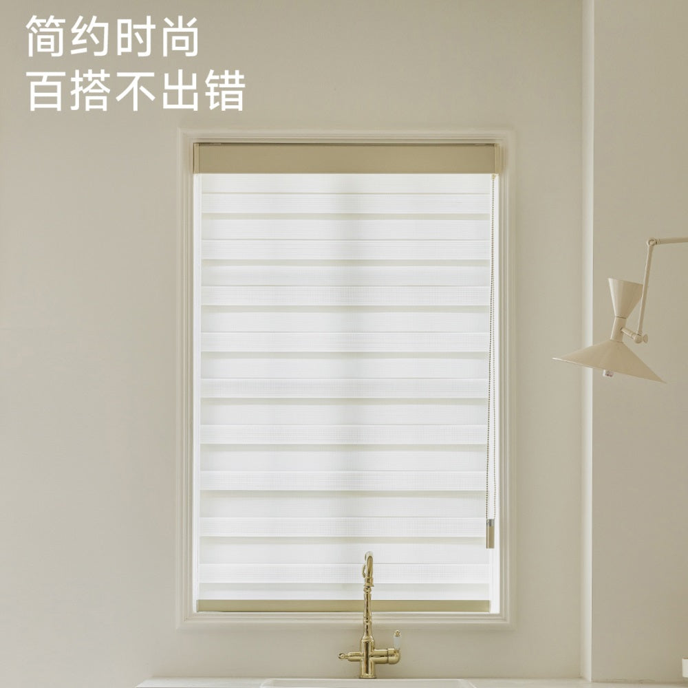 Light Filtering Waterproof Zebra Shades with Cassette