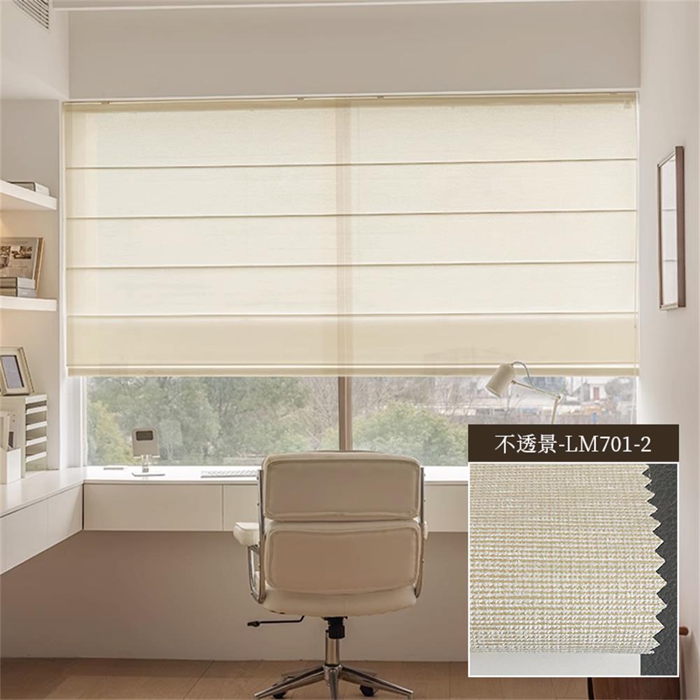 Light Filtering Roman Shades