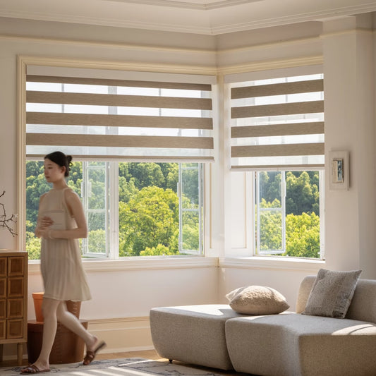 ZE-170 Blackout Zebra Shades with Cassette